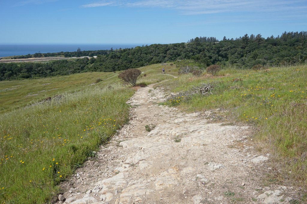 eDSC02539