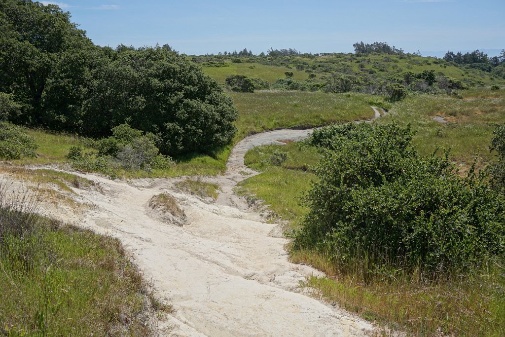 eDSC02552