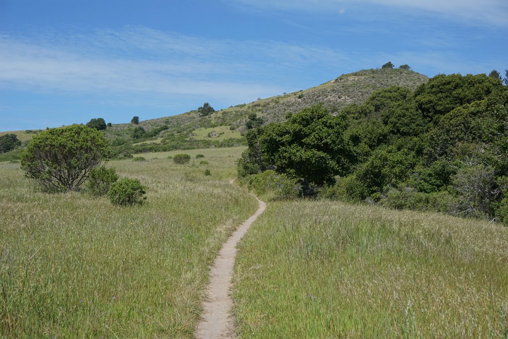 eDSC02558