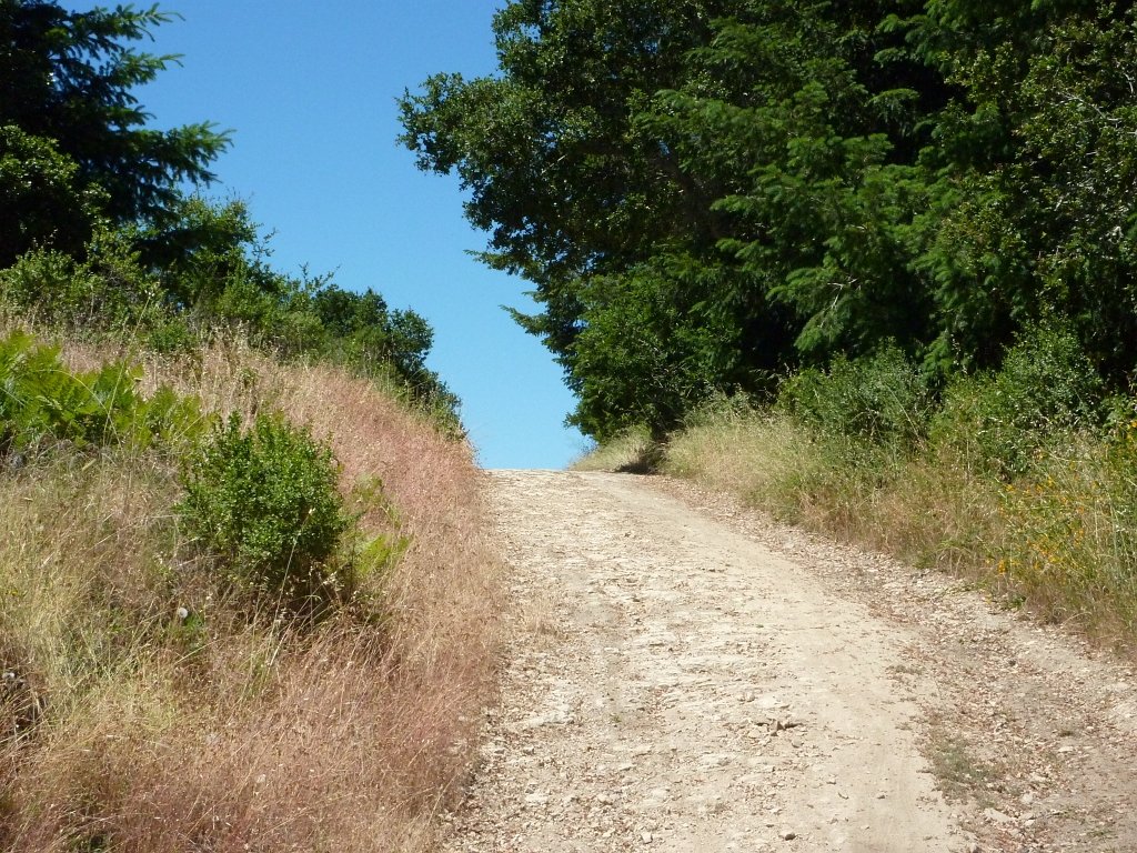 P1010923