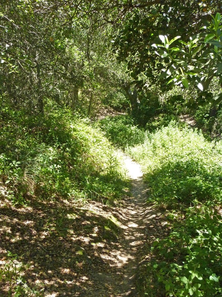 P1010932