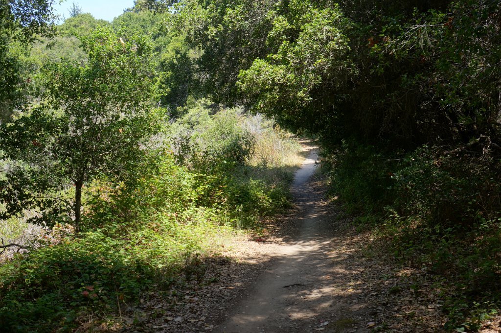 DSC09351