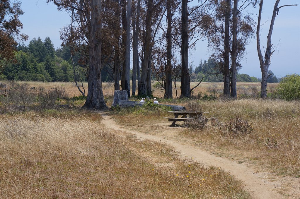 DSC09398
