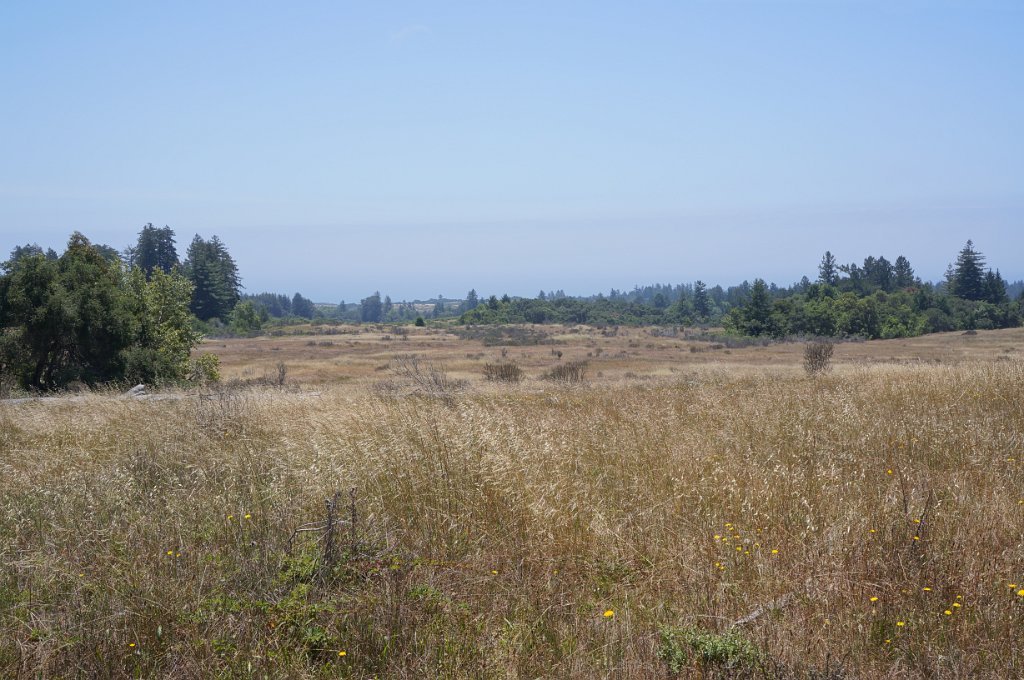 DSC09400
