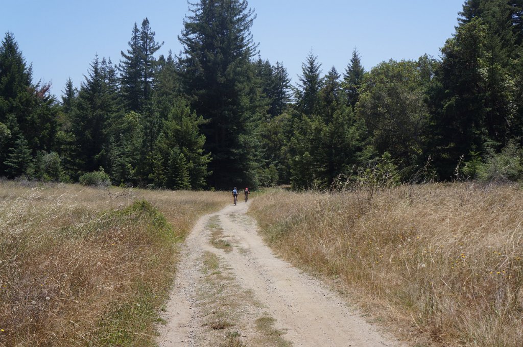 DSC09410
