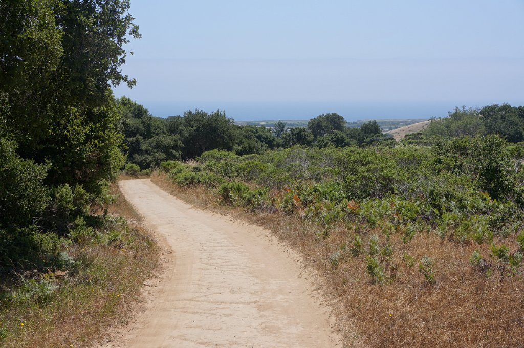 DSC09430