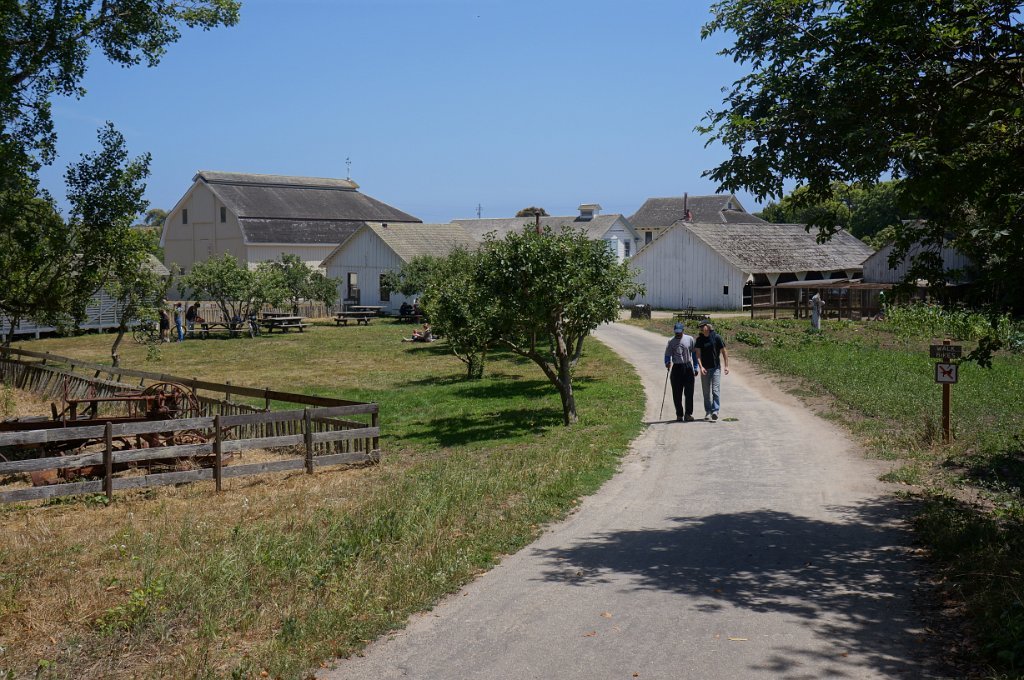 DSC09434