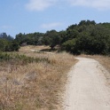 DSC09330
