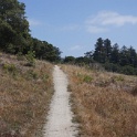 DSC09344