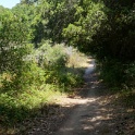 DSC09351