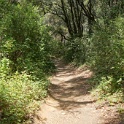 DSC09371