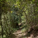 DSC09376