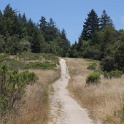 DSC09391