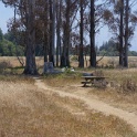 DSC09398