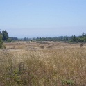 DSC09400