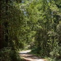 DSC09409