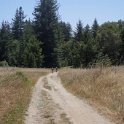 DSC09410