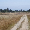 DSC09411