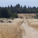 DSC09415
