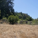 DSC09419