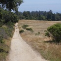DSC09425