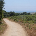 DSC09430