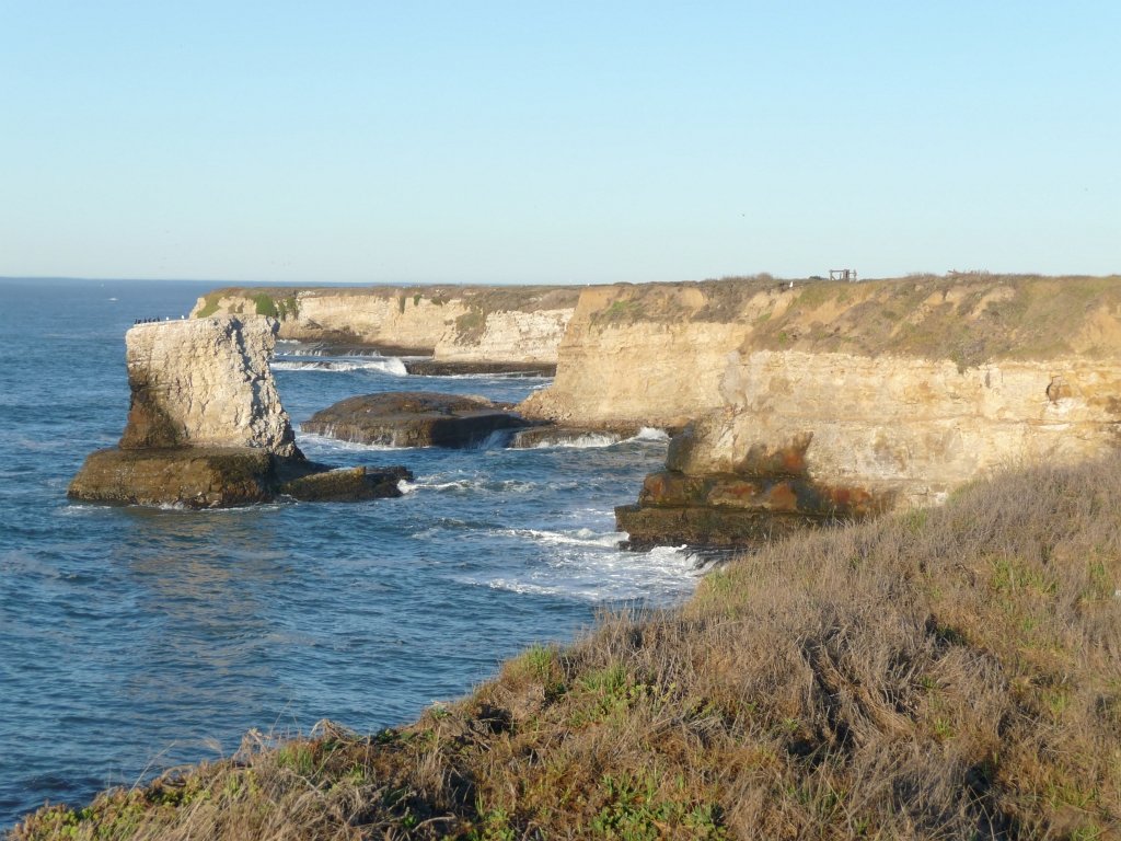 P1000954