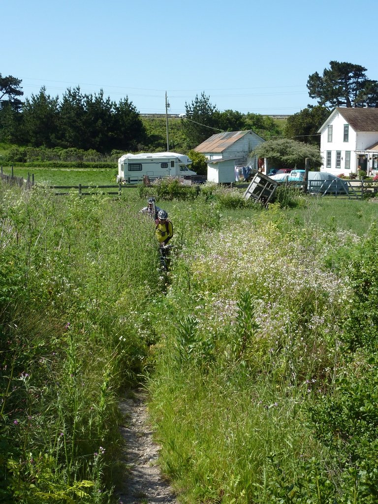 P1010471