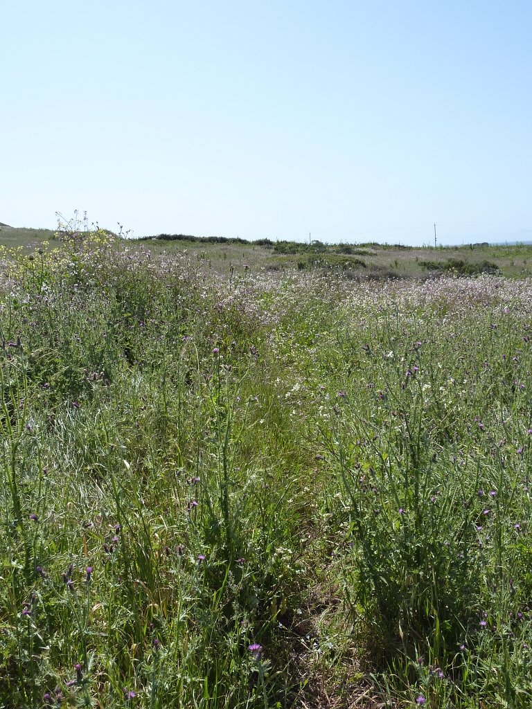 P1010476