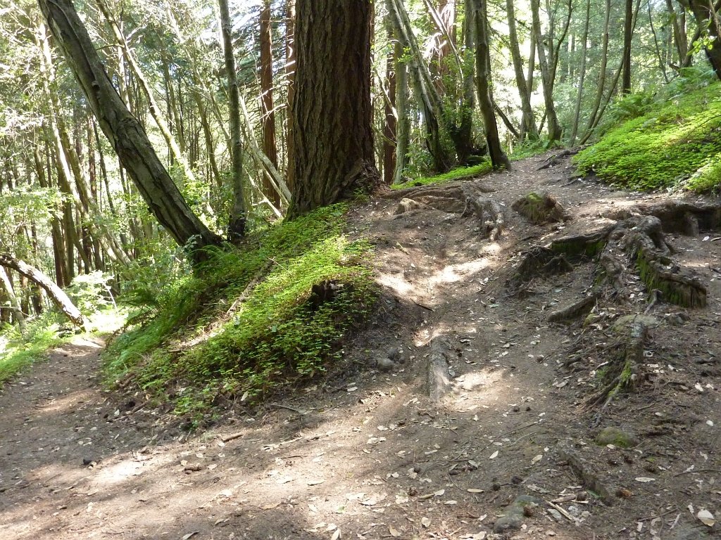 P1010497