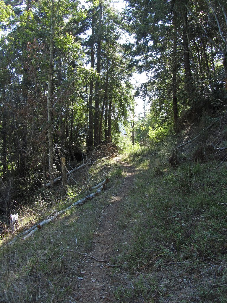 IMG_2269