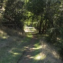 IMG_2257