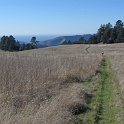 IMG_2291